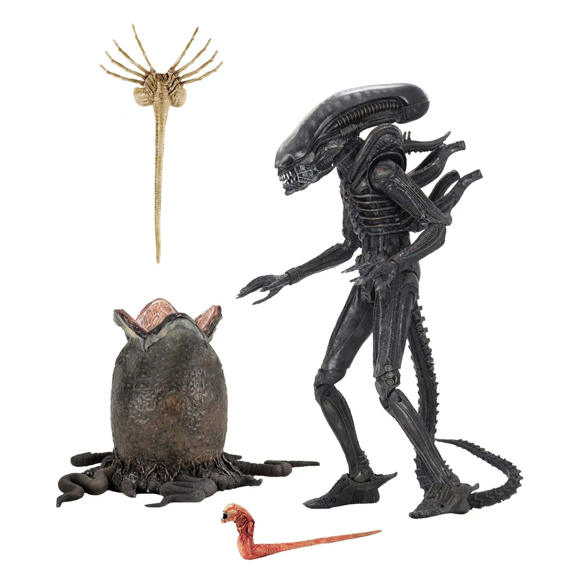 ALIEN – ACTION FIGURE IN SCALA 7” – IL GRANDE CAPO DEL 40° ANNIVERSARIO